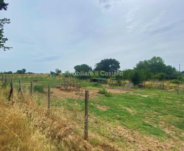 TERRENO AGRICOLO VENDITA CASTIGLIONE DEL LAGO