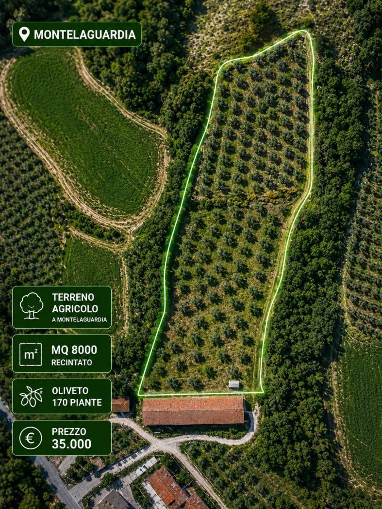 TERRENO AGRICOLO VENDITA PERUGIA MONTELAGUARDIA
