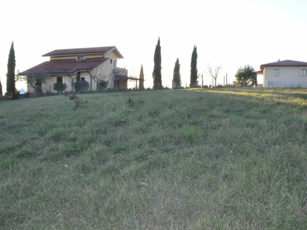 TERRENO EDIFICABILE VENDITA CASTIGLIONE DEL LAGO