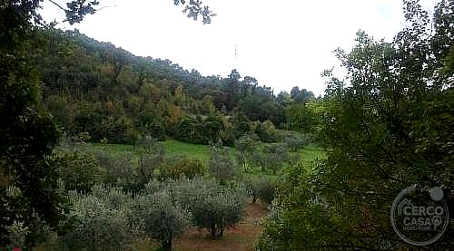 RUSTICO - CASALE VENDITA FERENTILLO · foto 31