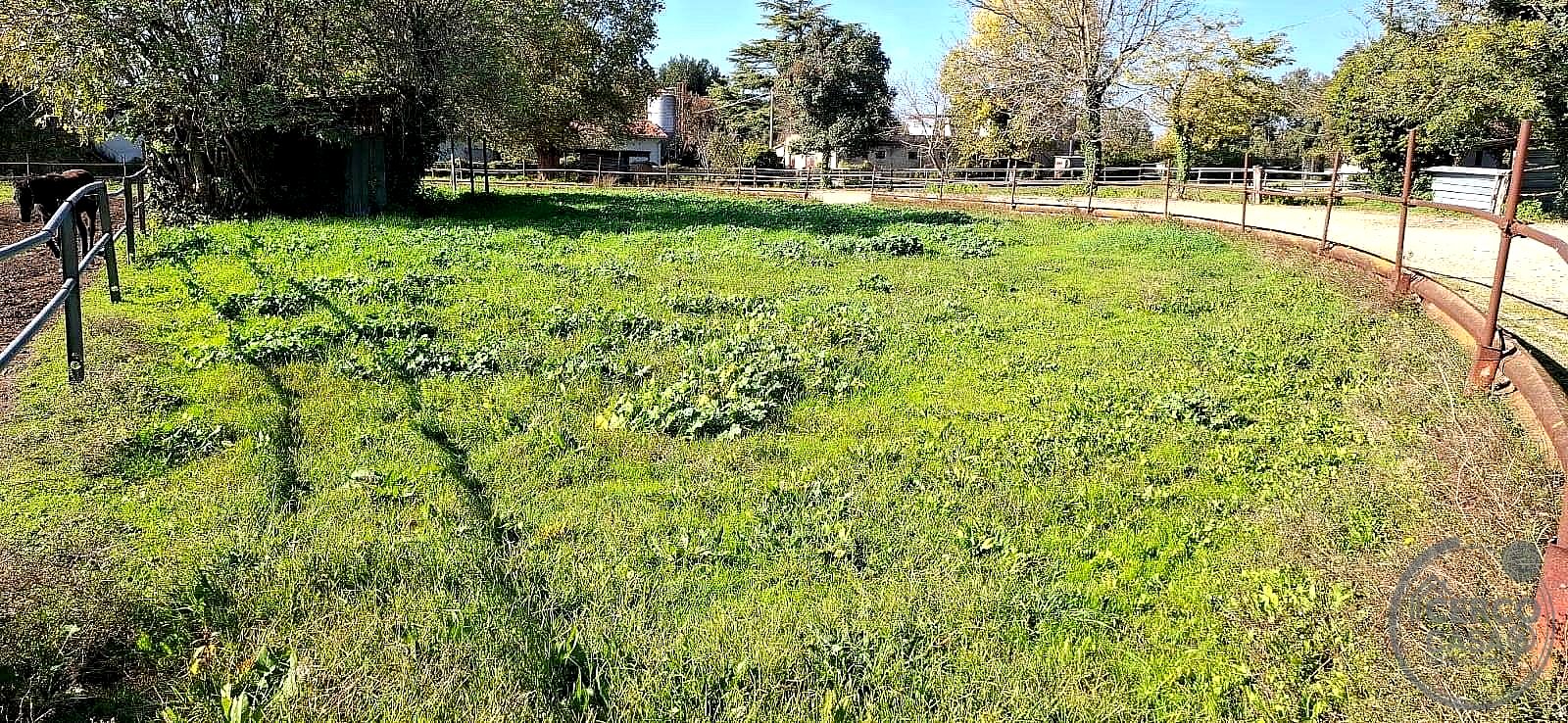 TERRENO EDIFICABILE VENDITA TERNI SABBIONE · foto 2