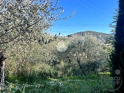TERRENO EDIFICABILE VENDITA TERNI SABBIONE · foto 28