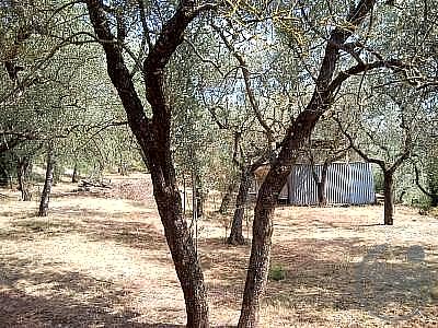 TERRENO EDIFICABILE VENDITA TERNI SABBIONE · foto 32