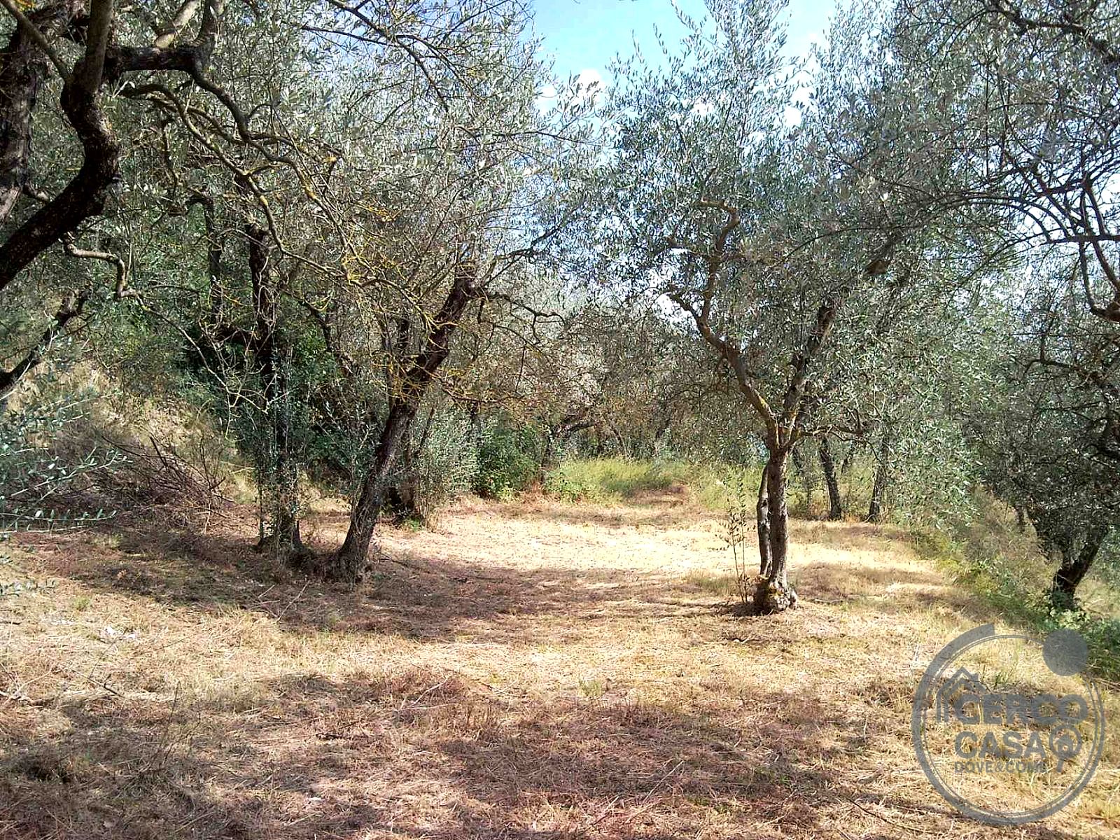 TERRENO EDIFICABILE VENDITA TERNI CAMPOMICCIOLO · foto 2