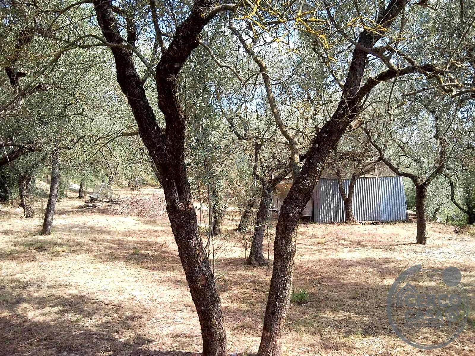 TERRENO EDIFICABILE VENDITA TERNI CAMPOMICCIOLO · foto 35