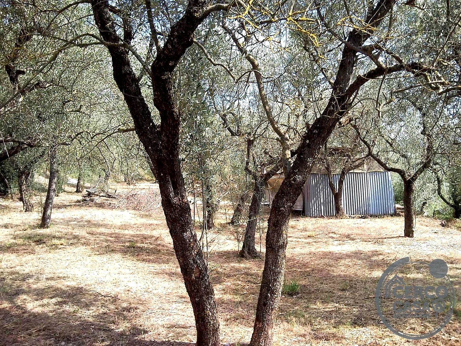 TERRENO EDIFICABILE VENDITA TERNI CAMPOMICCIOLO