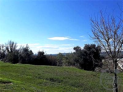 TERRENO EDIFICABILE VENDITA MARSCIANO SAN BIAGIO DELLA VALLE · foto 24