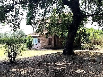 RUSTICO - CASALE VENDITA TUORO SUL TRASIMENO · foto 17