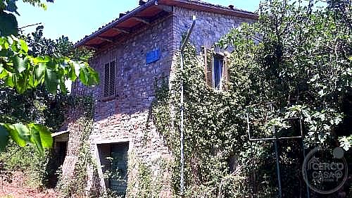 RUSTICO - CASALE VENDITA TUORO SUL TRASIMENO · foto 19