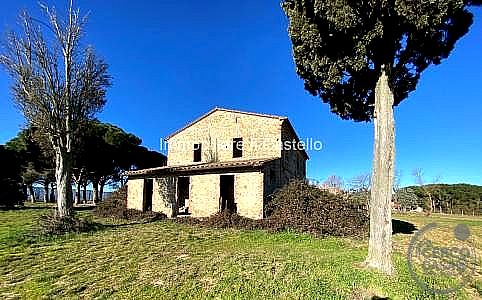 RUSTICO - CASALE VENDITA CASTIGLIONE DEL LAGO · foto 16