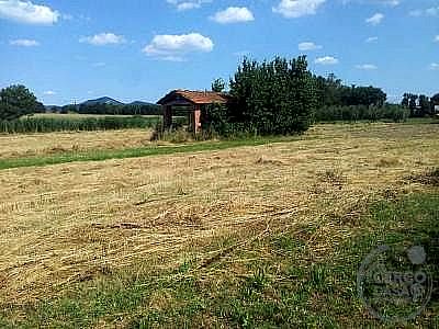 RUSTICO - CASALE VENDITA CASTIGLIONE DEL LAGO · foto 7