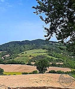 APPARTAMENTO VENDITA TODI · foto 14