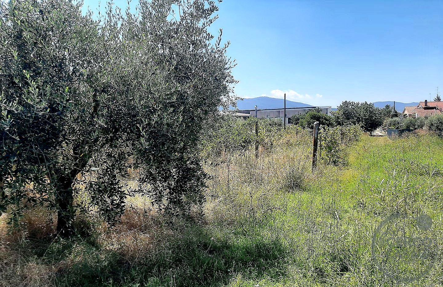 TERRENO EDIFICABILE VENDITA MAGIONE · foto 2