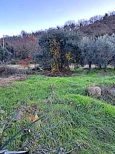 TERRENO EDIFICABILE VENDITA MAGIONE · foto 8