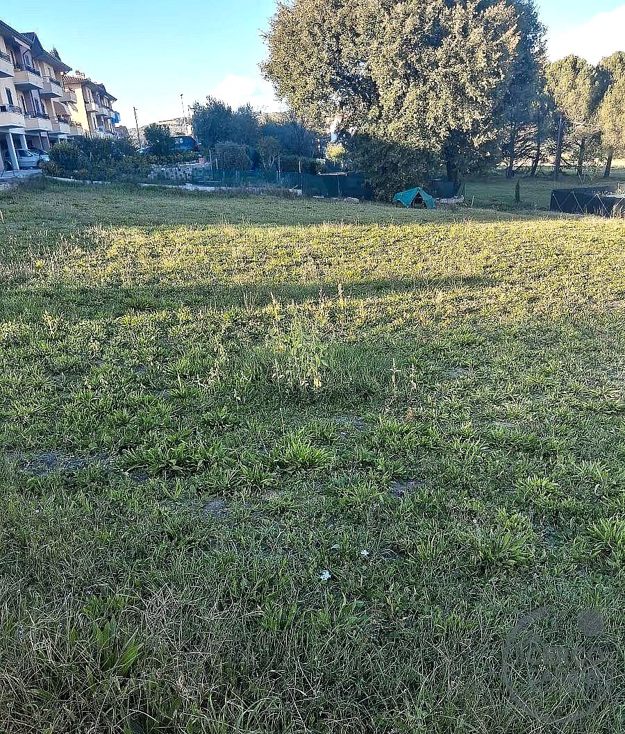 TERRENO EDIFICABILE VENDITA MARSCIANO CASTIGLIONE DELLA VALLE