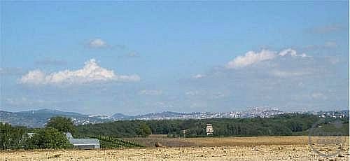 TERRENO EDIFICABILE VENDITA MARSCIANO CASTIGLIONE DELLA VALLE · foto 24