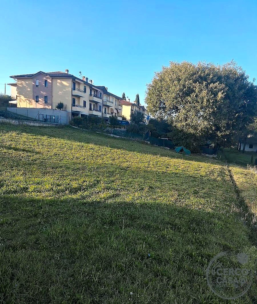 TERRENO EDIFICABILE VENDITA MARSCIANO CASTIGLIONE DELLA VALLE · foto 25
