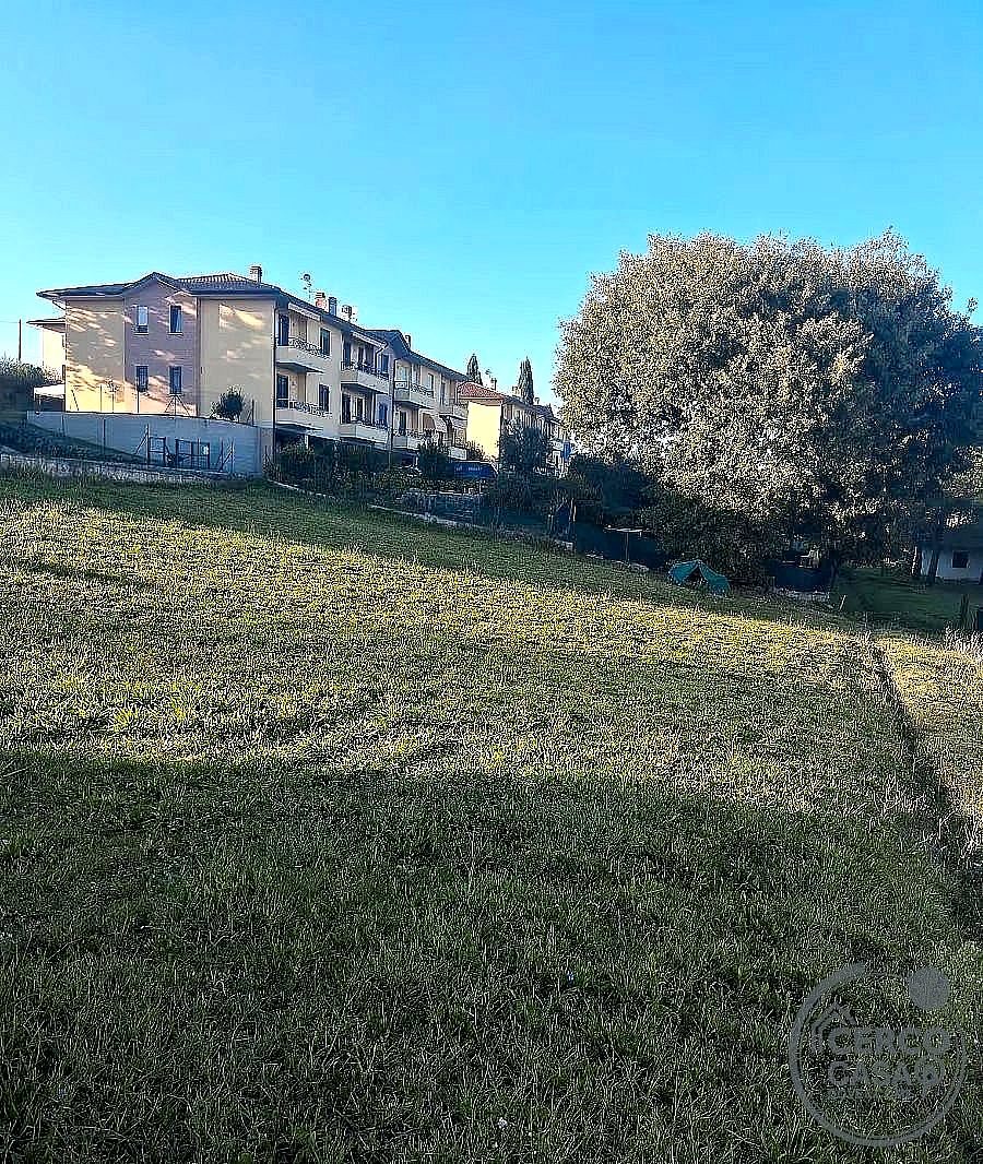TERRENO EDIFICABILE VENDITA MARSCIANO CASTIGLIONE DELLA VALLE