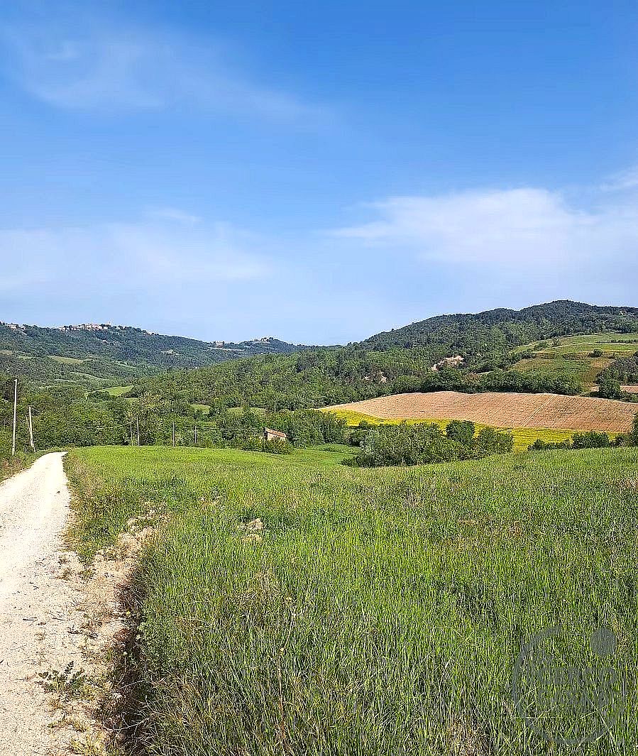 TERRENO AGRICOLO VENDITA GUALDO CATTANEO - Gualdo Cattaneo