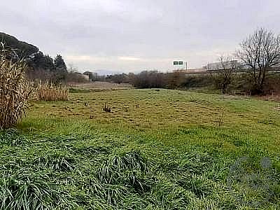 TERRENO AGRICOLO VENDITA GUALDO CATTANEO · foto 25