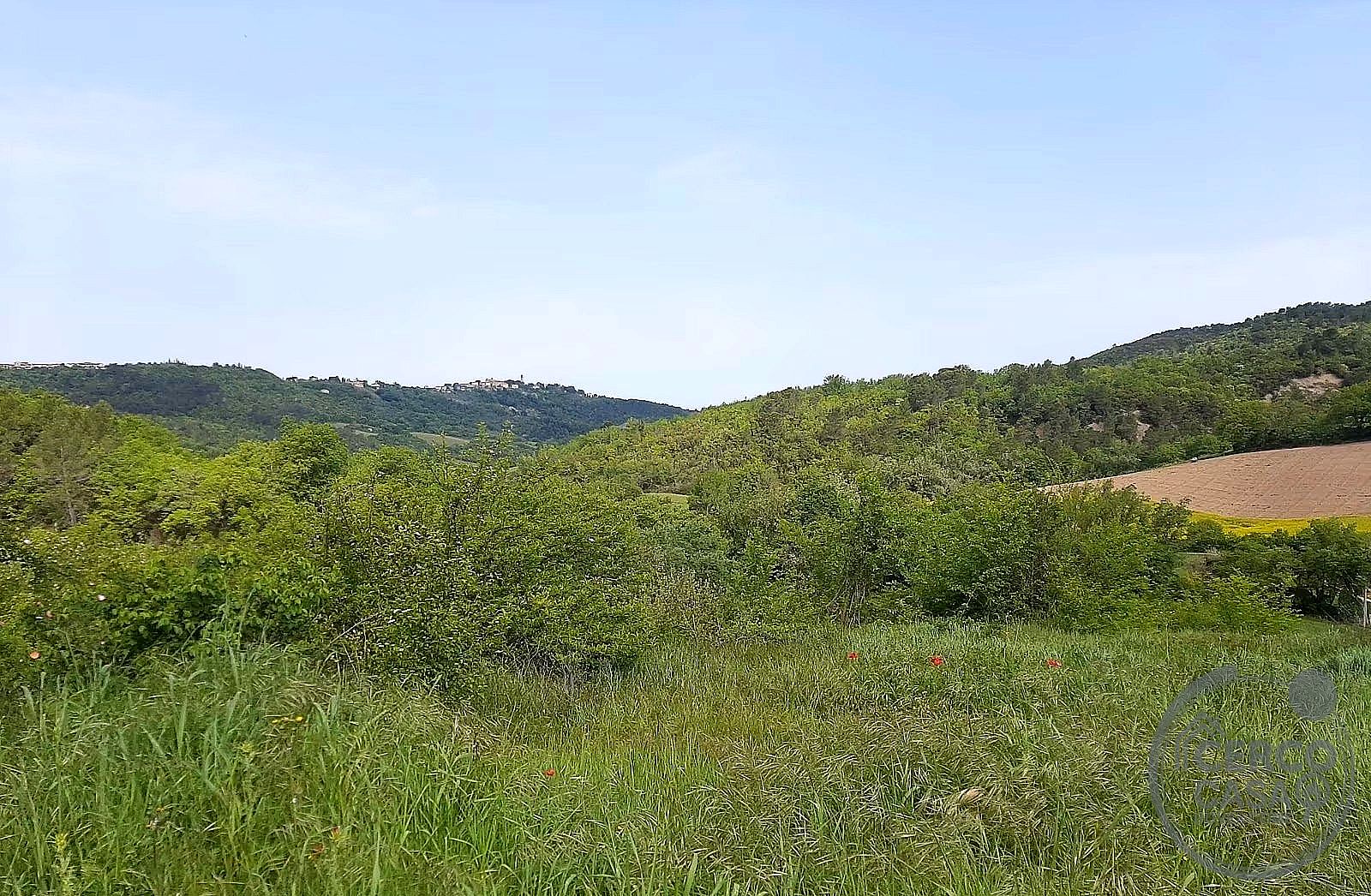 TERRENO AGRICOLO VENDITA GUALDO CATTANEO · foto 3