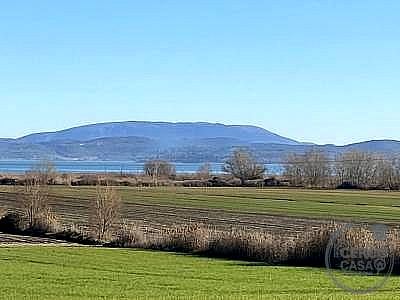 TERRENO AGRICOLO VENDITA GUALDO CATTANEO · foto 31
