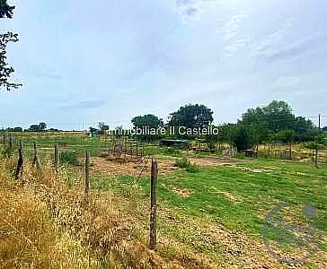 TERRENO AGRICOLO VENDITA GUALDO CATTANEO · foto 34