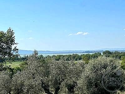 TERRENO AGRICOLO VENDITA GUALDO CATTANEO · foto 37