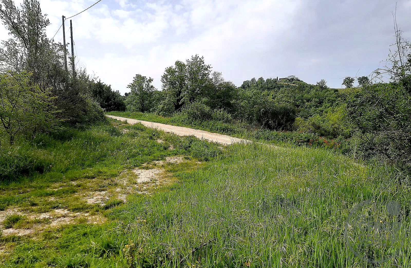 TERRENO AGRICOLO VENDITA GUALDO CATTANEO · foto 4