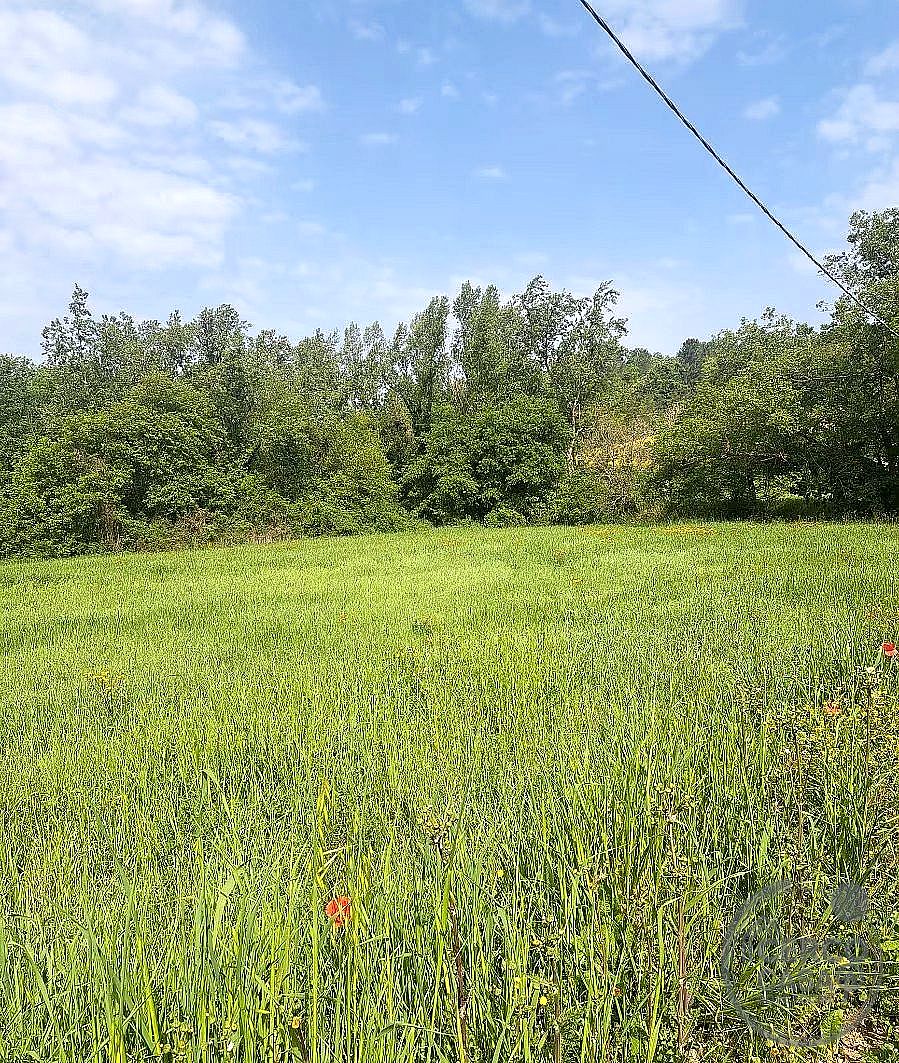 TERRENO AGRICOLO VENDITA GUALDO CATTANEO · foto 6