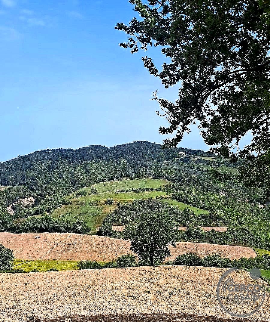 TERRENO AGRICOLO VENDITA GUALDO CATTANEO