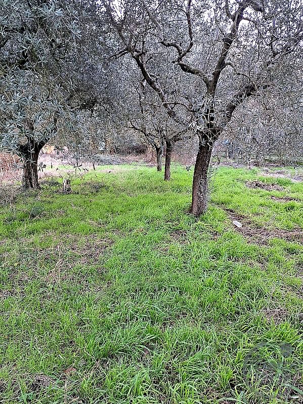 TERRENO EDIFICABILE VENDITA PERUGIA PONTE FELCINO · foto 2