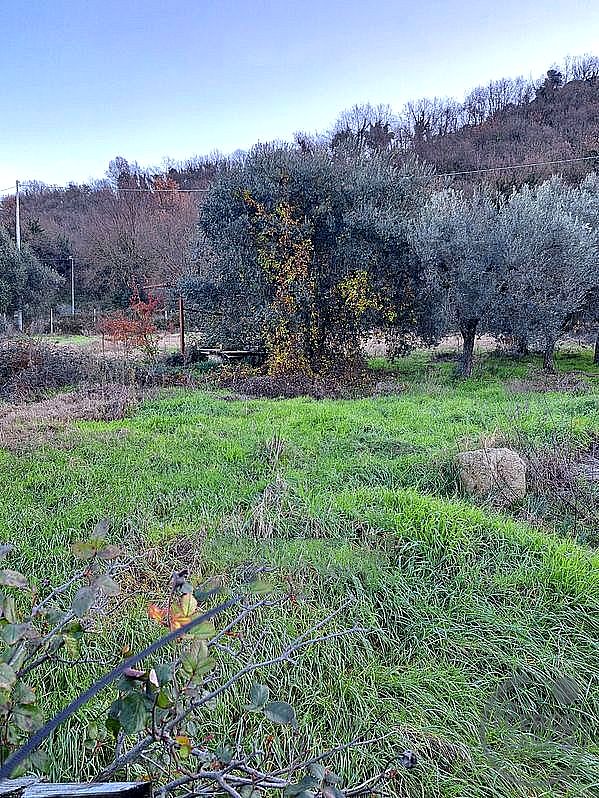 TERRENO EDIFICABILE VENDITA PERUGIA PONTE FELCINO · foto 36