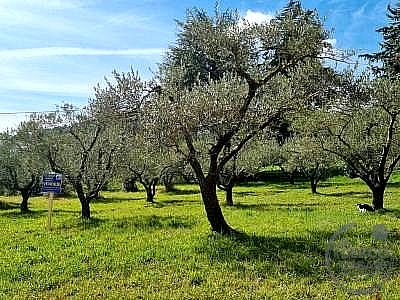 TERRENO EDIFICABILE VENDITA PERUGIA PONTE SAN GIOVANNI · foto 27