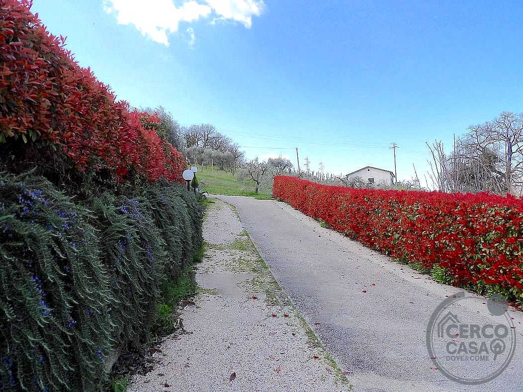 PORZIONE DI CASA VENDITA TERNI COLLESCIPOLI · foto 9