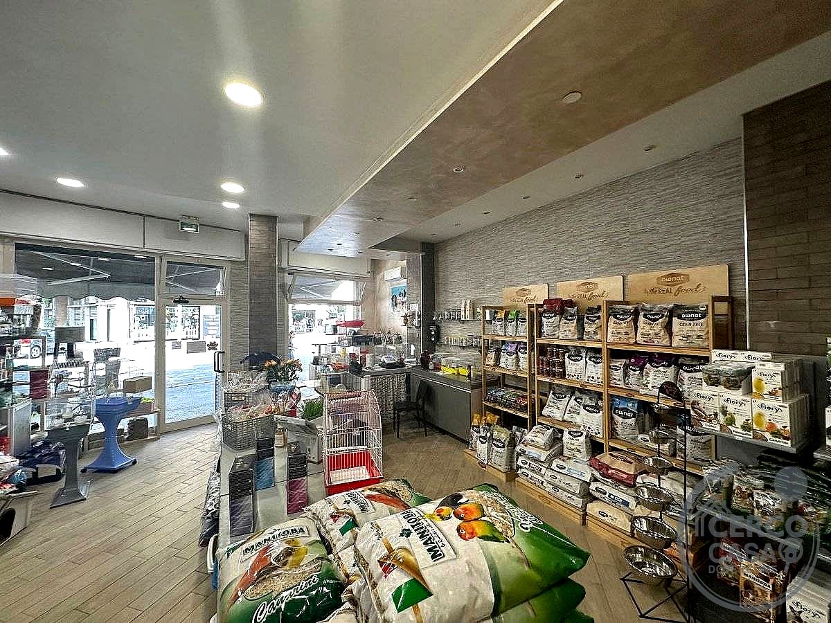 NEGOZIO VENDITA TERNI BATTISTI · foto 2