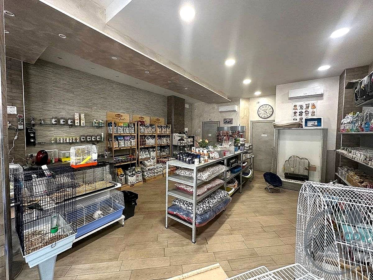 NEGOZIO VENDITA TERNI BATTISTI · foto 3