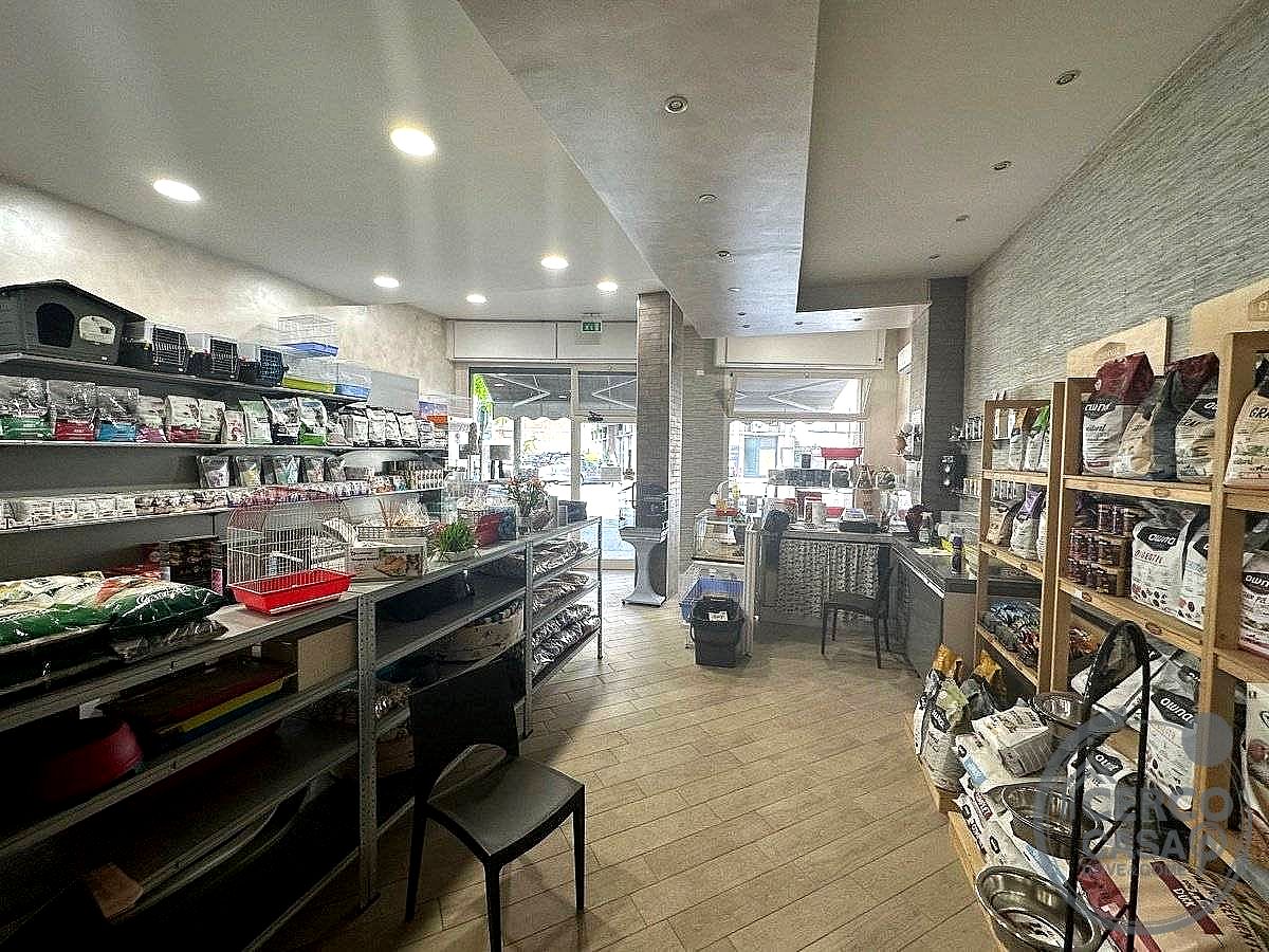 NEGOZIO VENDITA TERNI BATTISTI · foto 5