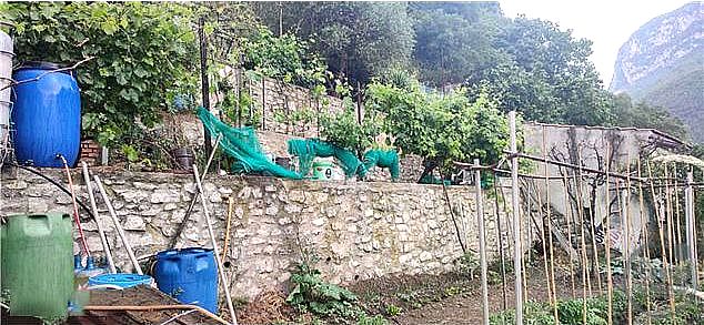 APPARTAMENTO VENDITA FERENTILLO - Ferentillo