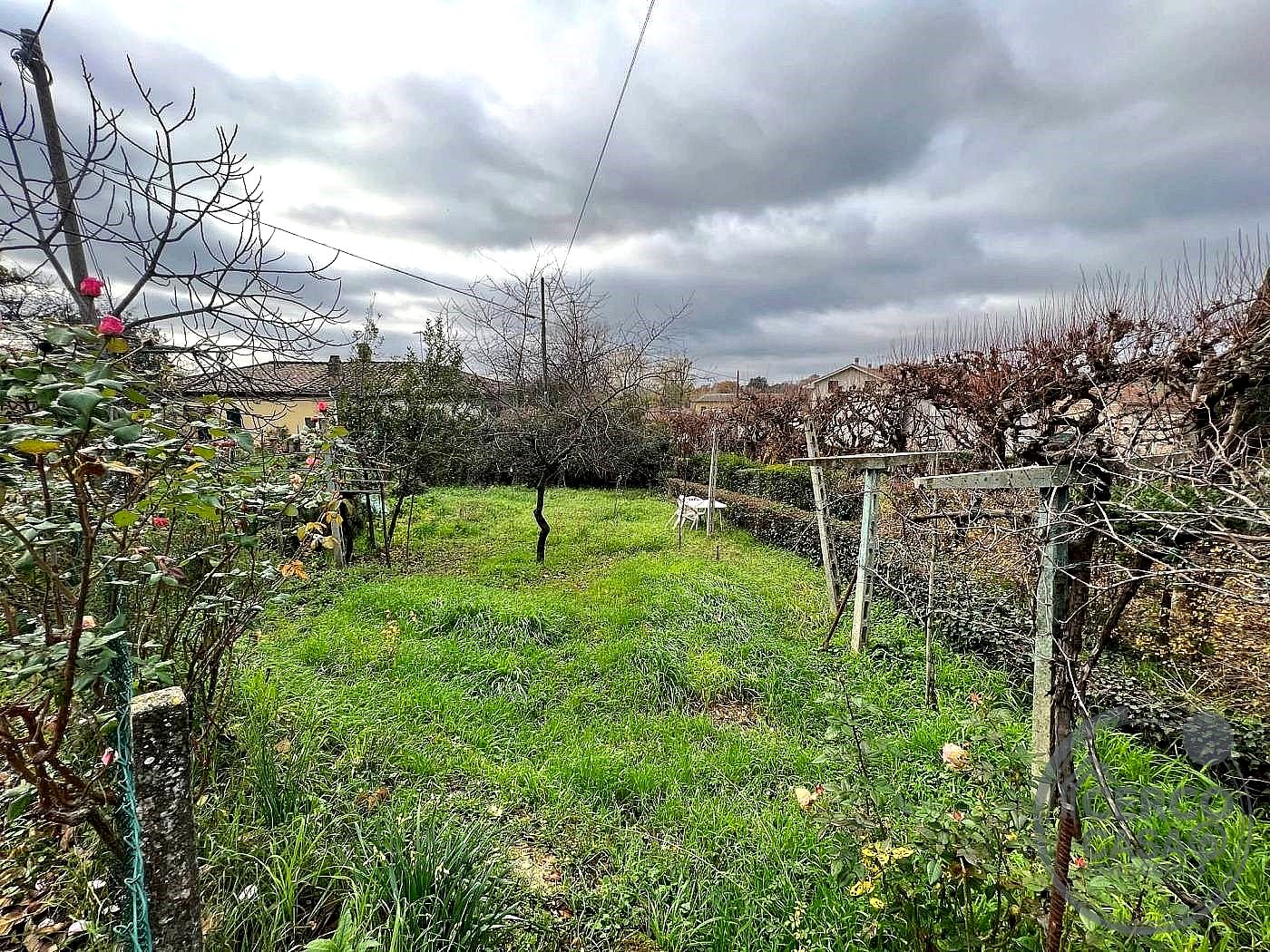 CIELO - TERRA VENDITA AMELIA - Amelia