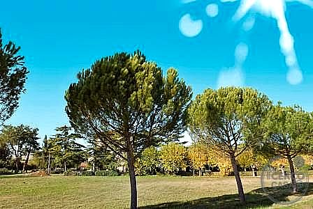 CASA INDIPENDENTE VENDITA PERUGIA FERRO DI CAVALLO · foto 15