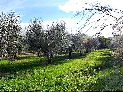 RUSTICO - CASALE VENDITA PASSIGNANO SUL TRASIMENO · foto 10