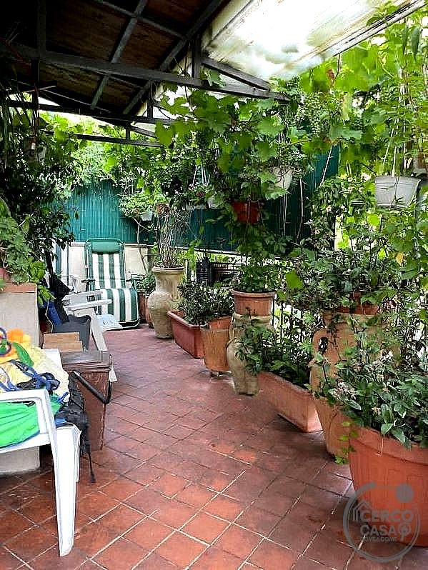 CIELO - TERRA VENDITA TERNI BORGO BOVIO · foto 7