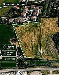 TERRENO AGRICOLO VENDITA SPOLETO · foto 22