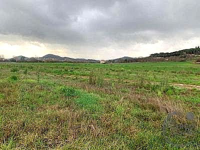 TERRENO AGRICOLO VENDITA SPOLETO · foto 23