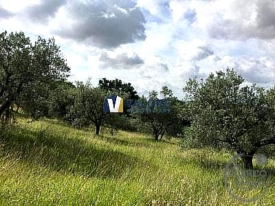 TERRENO AGRICOLO VENDITA SPOLETO · foto 27