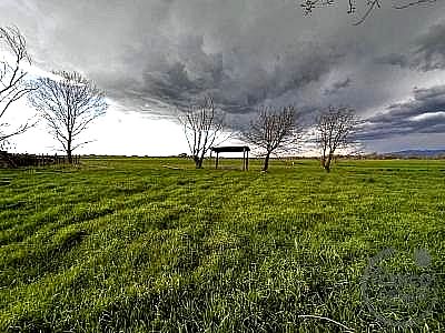 TERRENO AGRICOLO VENDITA SPOLETO · foto 28
