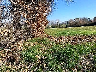 TERRENO AGRICOLO VENDITA SPOLETO · foto 30