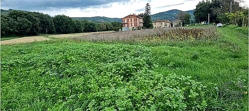 TERRENO AGRICOLO VENDITA SPOLETO · foto 31