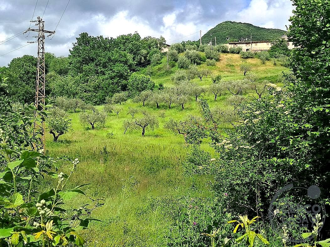 TERRENO AGRICOLO VENDITA SPOLETO · foto 35